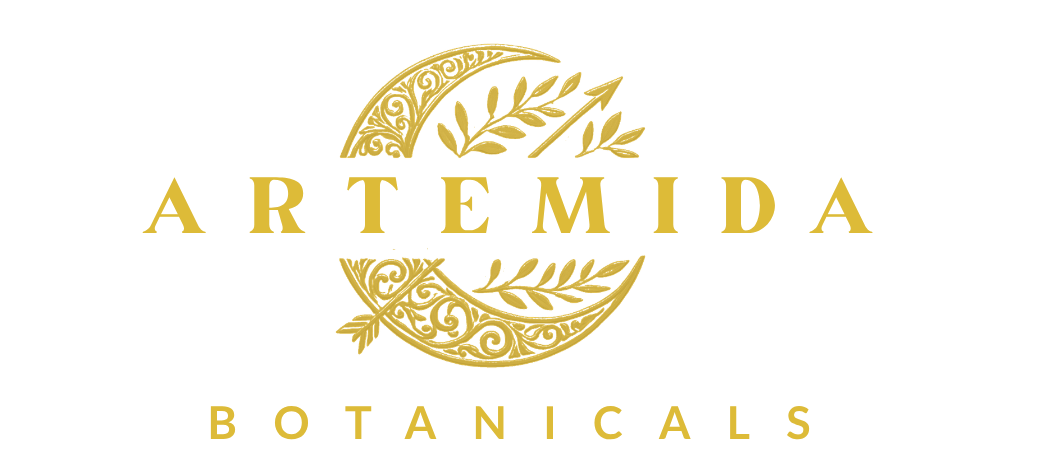 arteMIDA (16)